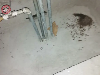 河南卫生间测漏水价格明细